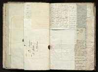 1_335_0_0_291.12_0197