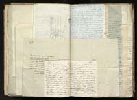 1_335_0_0_291.12_0206