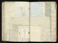 1_335_0_0_291.12_0207