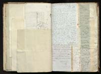 1_335_0_0_291.12_0209