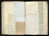 1_335_0_0_291.12_0213