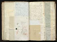 1_335_0_0_291.12_0215