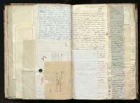 1_335_0_0_291.12_0216