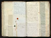 1_335_0_0_291.12_0217