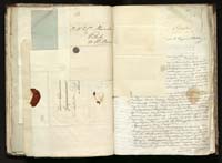 1_335_0_0_291.12_0253