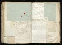 1_335_0_0_291.12_0300