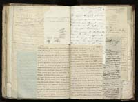 1_335_0_0_291.12_0350