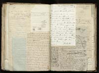 1_335_0_0_291.12_0351