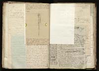 1_335_0_0_291.12_0353