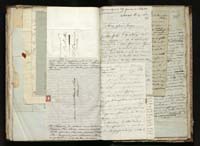 1_335_0_0_291.12_0436