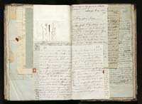 1_335_0_0_291.12_0437