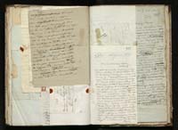 1_335_0_0_291.12_0440