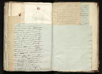 1_335_0_0_291.12_0482