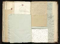 1_335_0_0_291.12_0483