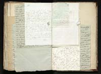 1_335_0_0_291.12_0486