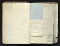 1_335_0_0_291.14_0010