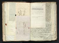 1_335_0_0_291.14_0115