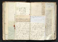 1_335_0_0_291.14_0151