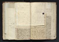 1_335_0_0_291.14_0219