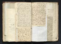 1_335_0_0_291.14_0238