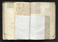 1_335_0_0_291.14_0241