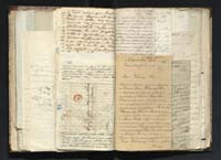 1_335_0_0_291.14_0248