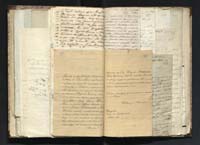 1_335_0_0_291.14_0249