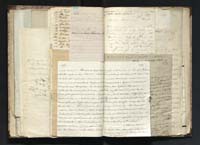 1_335_0_0_291.14_0253