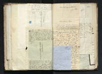 1_335_0_0_291.14_0299