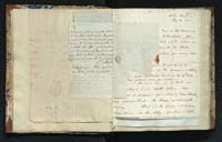 1_335_0_0_291.6_0006