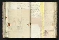 1_335_0_0_291.7_0209