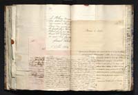 1_335_0_0_291.7_0241