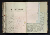 1_335_0_0_291.7_0319