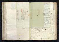 1_335_0_0_291.8_0082