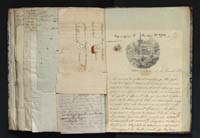 1_335_0_0_291.8_0351