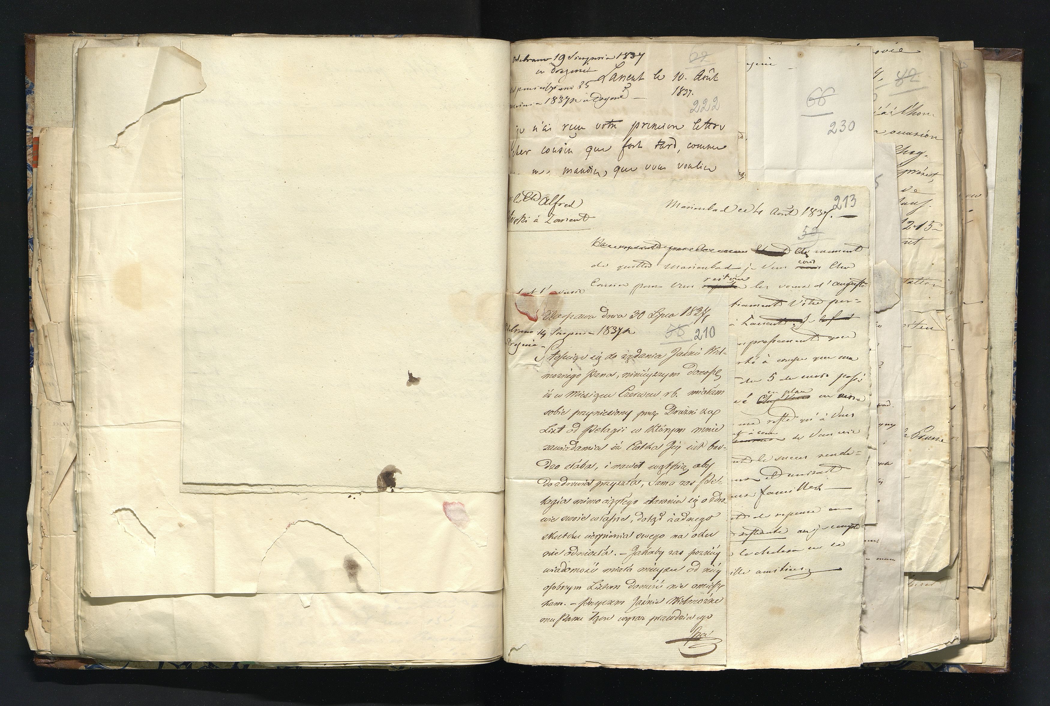 1_335_0_0_291.9_0125