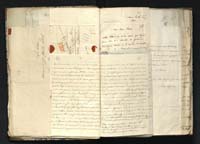 1_335_0_0_291.9_0016