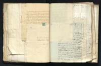 1_335_0_0_291.9_0217