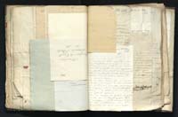 1_335_0_0_291.9_0239