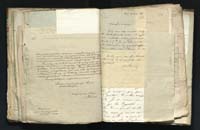 1_335_0_0_291.9_0367