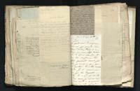 1_335_0_0_291.9_0368