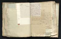 1_335_0_0_291.9_0378