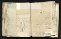 1_335_0_0_291.9_0381