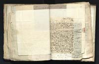 1_335_0_0_291.9_0391