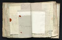 1_335_0_0_291.9_0407