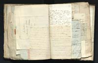 1_335_0_0_291.9_0421