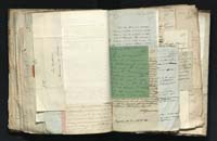 1_335_0_0_291.9_0424