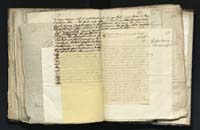 1_335_0_0_291.9_0450