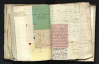 1_335_0_0_291.9_0465