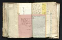 1_335_0_0_291.9_0489